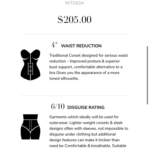 NWT Steel Boned Lingerie Mesh Overbust Corset - Picture 7 of 7